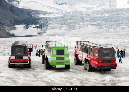 Turismo buggy di ghiaccio del Ghiacciaio Athabasca che sta svanendo in modo estremamente rapido e ha perso oltre il 60% della sua massa di ghiaccio in meno di 150 anni. Canadian Rockies. Foto Stock