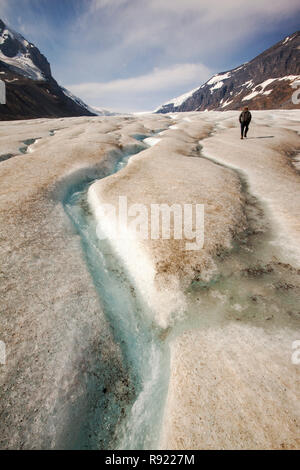 Canali di acqua di disgelo e turisti sul Ghiacciaio Athabasca che sta svanendo in modo estremamente rapido e ha perso oltre il 60% della sua massa di ghiaccio in meno di 150 anni. Canadian Rockies. Foto Stock
