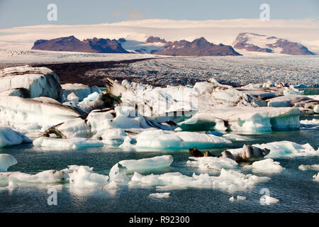 Jokulsarlon laguna di ghiaccio è uno dei luoghi più visitati d'Islanda. Essa è stata creata con il rapido ritiro del ghiacciaio Breidamerkurjokull che spazia verso il basso spento il Vatnajokull tappo di ghiaccio. Ice bergs calve) fuori la parte anteriore e la flottazione nella laguna prima di floating in mare quando abbastanza piccolo. Tutti Icelands i ghiacciai si stanno ritirando rapidamente e sono predetti disapear completamente nei prossimi cento anni. James Bond e Batman film sono stati girati presso la laguna di ghiaccio. Foto Stock