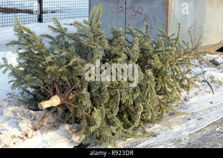 Un albero di Natale è stato scartato a bottle bank Foto Stock