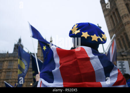 Londra REGNO UNITO 18 dicembre 2018. Pro Europa attivisti da SODEM Stand di Defiance Movimento europeo continuare a protestare fuori del Parlamento come Ministri si sono incontrati a Downing Street per prepararsi ad elaborare piani di emergenza per un No Deal Brexit con 100 giorni a sinistra fino a quando la Gran Bretagna lascia l'Unione europea il 29 marzo 2019 Credit: amer ghazzal/Alamy Live News Foto Stock