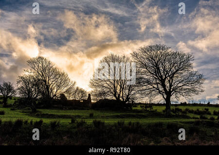 Ardara, County Donegal, Irlanda. 19 dicembre 2018. Il tramonto sagome inverno alberi e le rovine di un antico casale. Credito: Richard Wayman/Alamy Live News Foto Stock