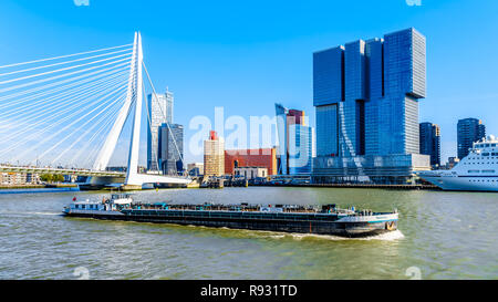 Reno barcone sul Nieuwe Maas con ponte di Erasmus e alti edifici moderni a Holland Amerikakade cruise terminal di Rotterdam, Olanda Foto Stock
