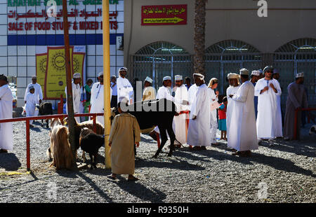 La trafficata Nizwa Mercato del Bestiame si tiene ogni venerdì mattina in Nizwa fort in Oman. Foto Stock