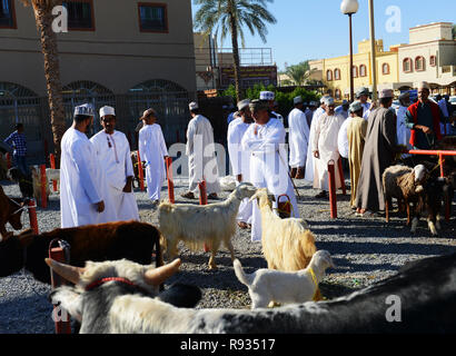 La trafficata Nizwa Mercato del Bestiame si tiene ogni venerdì mattina in Nizwa fort in Oman. Foto Stock