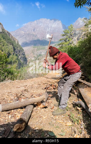 Uomo nepalese trinciatura di legno in una valle himalayana Foto Stock