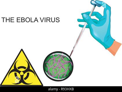 Illustrazione di vettore di virus Ebola, mano, pipette da laboratorio con il sangue Illustrazione Vettoriale