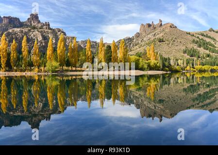 Fiume Limay con pioppi nel colore di autunno a Bariloche, Ruta 40, Patagonia, Argentina Foto Stock