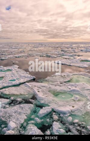 Pack ghiaccio, Mare di Barents, Spitsbergen East coast, arcipelago delle Svalbard, Norvegia, Europa Foto Stock