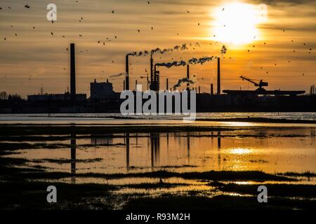 Impianto industriale di Sachtleben Chemie GmbH, produttrice di sostanze chimiche speciali, sul fiume Reno al tramonto, Homberg Foto Stock