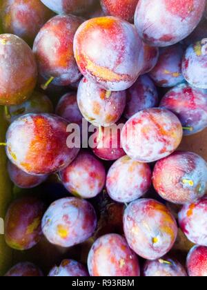 Chiudere l immagine di un mucchio di piombi dal mercato Foto Stock