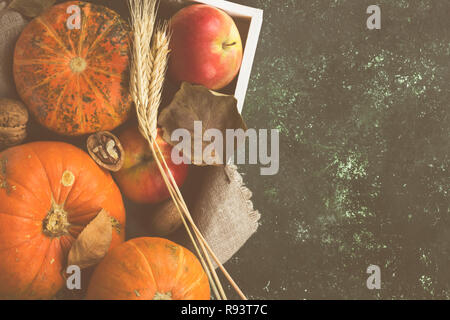 Autumn harvest - zucche, mele, noci, frumento in un bianco vassoio in legno su uno sfondo scuro. Vista superiore, copia dello spazio. Sfondo di cibo. Tonica Foto Stock