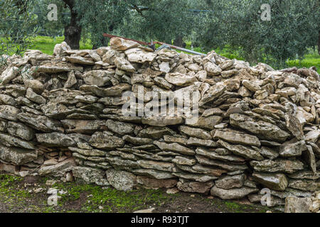 In pietra a secco nella parete anteriore della piante di olivo Foto Stock
