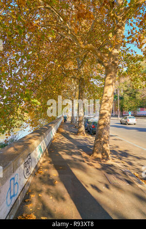 Roma, Italia - circa novembre, 2017: Roma paesaggio urbano. Roma è la capitale d'Italia. Foto Stock
