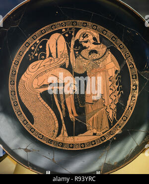 Roma. L'Italia. Kylix attica a figure rosse cup attr. di Douris. Jason essere sboccato da un serpente, custode del vello d'oro, come Athena arriva alla sua rescu Foto Stock