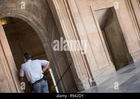 Guardia a Alhambra Palace Foto Stock