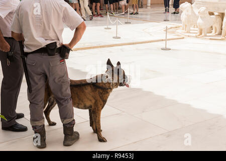 Poliziotti mantenendo Watch Foto Stock
