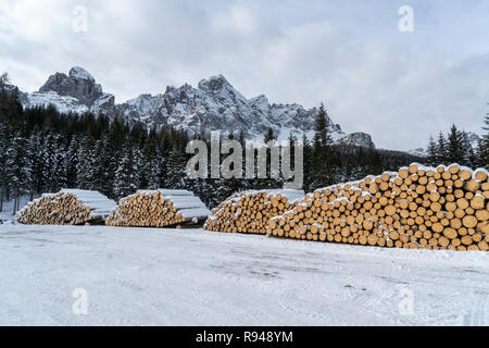 Legni di abete tagliati e accatastati sul bordo di una foresta in inverno nella regione Trentino Alto Adige, Italia Foto Stock