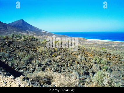 Riserva Naturale di Jandia. Fuerteventura Isole Canarie Spagna. Foto Stock