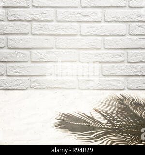 Sfondo per inserire un oggetto su un muro di mattoni e sabbia bianca con un'ombra da un albero di cocco. Sfondo pronto per i progettisti. Foto Stock