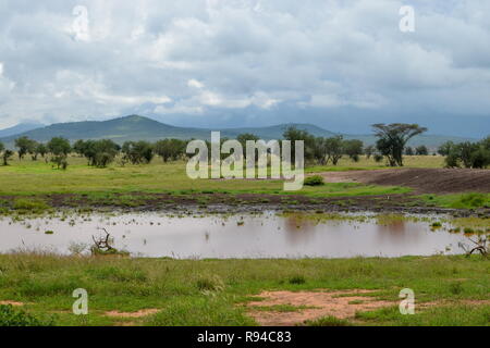 La savana prateria contro uno sfondo di montagna a Taita Hills Wildlife Sanctuary, Voi Foto Stock