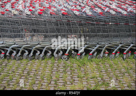 Linee di vuoto carrelli per supermercati Foto Stock