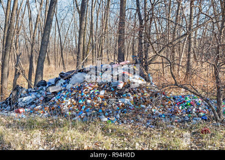 Detroit, Michigan - molte centinaia di bottiglie e lattine illegalmente oggetto di dumping in una zona boschiva vicino al centro cittadino. Molti sono succhi di frutta o di contenitori di acqua che sono n Foto Stock