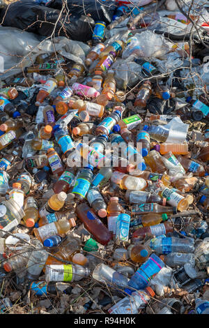 Detroit, Michigan - molte centinaia di bottiglie e lattine illegalmente oggetto di dumping in una zona boschiva vicino al centro cittadino. Molti sono succhi di frutta o di contenitori di acqua che sono n Foto Stock