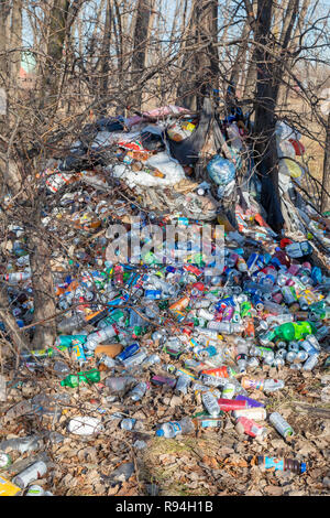Detroit, Michigan - molte centinaia di bottiglie e lattine illegalmente oggetto di dumping in una zona boschiva vicino al centro cittadino. Foto Stock