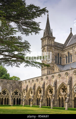 Il chiostro adiacente alla Cattedrale di Salisbury, a Salisbury, Wiltshire, Inghilterra, l'Europa. Foto Stock