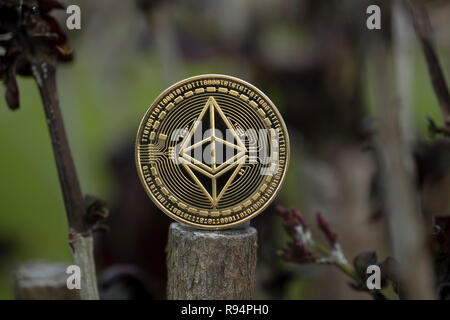 Ethereum Classic cryptocurrency moneta fisica immessi sul taglio ramo tropicale Foto Stock