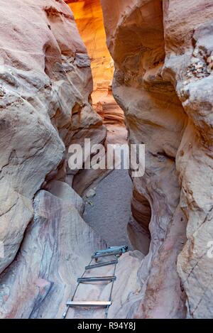 La scala di metallo attaccato a rocce in rosso Canyon. Red Canyon è uno di Israele la maggior parte dei sentieri escursionistici Foto Stock