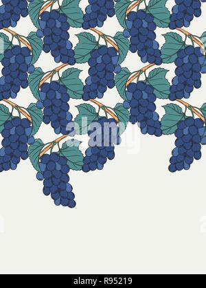 Noir muscat vigneti vigna illustrazione vettoriale nel vintage illustrazione botanica stile lineart blu uva NERO bacche con foglie di bac verticale Illustrazione Vettoriale