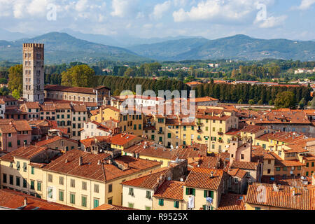 Vista di Lucca verso la chiesa di San Frediano e l'anfiteatro dalla cima della Torre Guinigi, Lucca, Italia Foto Stock