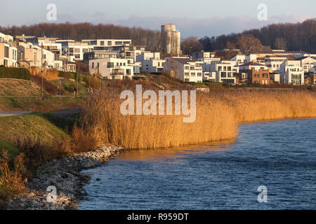 Dortmund Germania phoenixsee lago in inverno Foto Stock