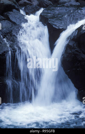 Chinchoti cascata , Vasai, Maharashtra, India Foto Stock