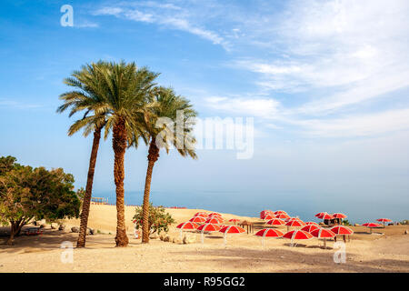 Ein Gedi oase presso il mar morto nel deserto del Negev. Israele Foto Stock