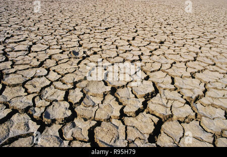 Siccità, Gujarat, India Foto Stock