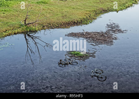 Disporre di due biciclette in un fiume come un simbolo di inquinamento ambientale Foto Stock