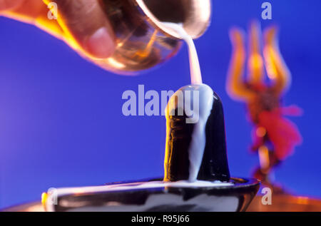 Festival Mahashivaratri, versando il latte sul dio Shiva Linga Foto Stock