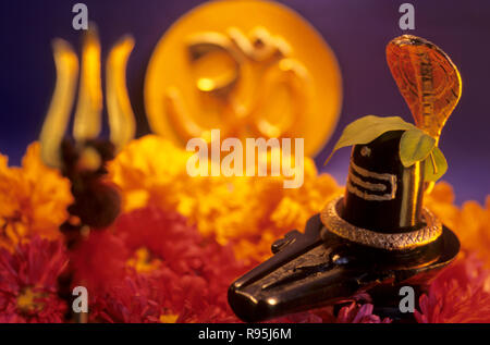 Festival Mahashivaratri dio Shiva Linga Foto Stock