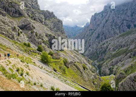 La Gola di Cares (Rio Cares) e Cares Trail (Ruta del Cares), Picos de Europa, Asturias, Spagna. Foto Stock