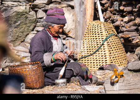 Anziano tibetano donna la filatura della lana di yak nel villaggio di Lho nella regione di Manaslu del Nepal Himalaya Foto Stock