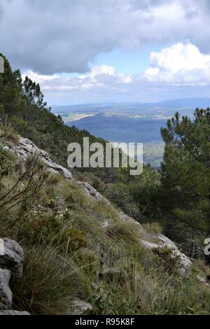 Sendero El Pinsapar, pineta escursione da grazalema Benamahoma per Foto Stock