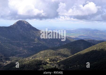 Sendero El Pinsapar, pineta escursione da grazalema Benamahoma per Foto Stock