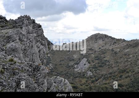 Sendero El Pinsapar, pineta escursione da grazalema Benamahoma per Foto Stock