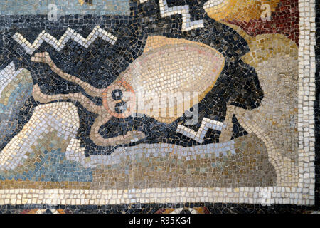 Roman pavimento a mosaico (C3rd-c4th) di seppie e fondali del Mediterraneo dalla antica città romana di Ammaedara Haidra in Tunisia Foto Stock