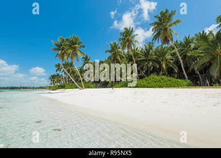 Traumstrand der Karibik, sogno spiaggia dei Caraibi Foto Stock