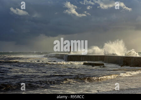 Ave foce, a nord del Portogallo, con luce drammatica appena prima del tramonto e pioggia durante una tempesta di mare Foto Stock