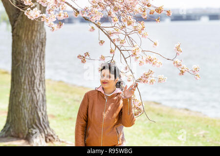 Washington DC, Stati Uniti d'America - Aprile 5, 2018: giovane donna indiana in piedi tra, sotto la fioritura dei ciliegi, sakura fiori, rami, albero con il fiume Potomac in ba Foto Stock